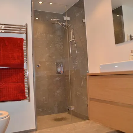 Alpine Parc Linard Appartement Lenzerheide